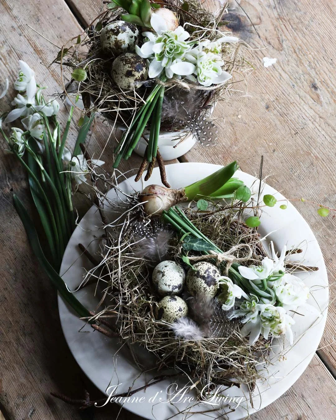 NEW! Jeanne d'Arc Living Magazine - 2nd Issue of 2026 (Feb) FREE SHIPPING* - Rustic Farmhouse Charm