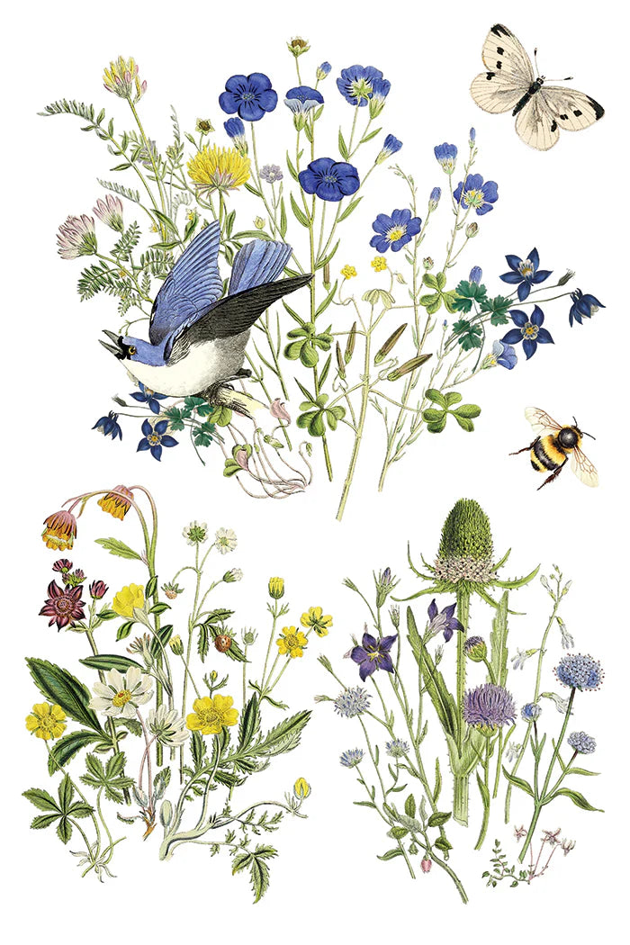 NEW! IOD Transfer Pad - FLORA GRECA (set of eight 8"x12" sheets) - Rustic Farmhouse Charm