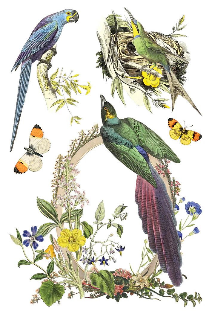 NEW! IOD Transfer Pad - FLORA GRECA (set of eight 8"x12" sheets) - Rustic Farmhouse Charm