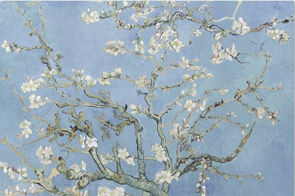 Decoupage Tissue Paper - Floral Almond Tree by Van Gogh Soft Blue (50.8cm x 76.2cm) - Rustic Farmhouse Charm