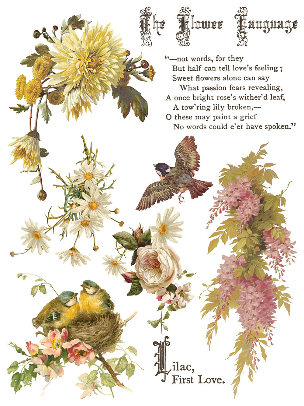 NEW! IOD Transfer Pad - FLOWERS BY THE POETS (set of eight 12"x16" sheets) - Rustic Farmhouse Charm