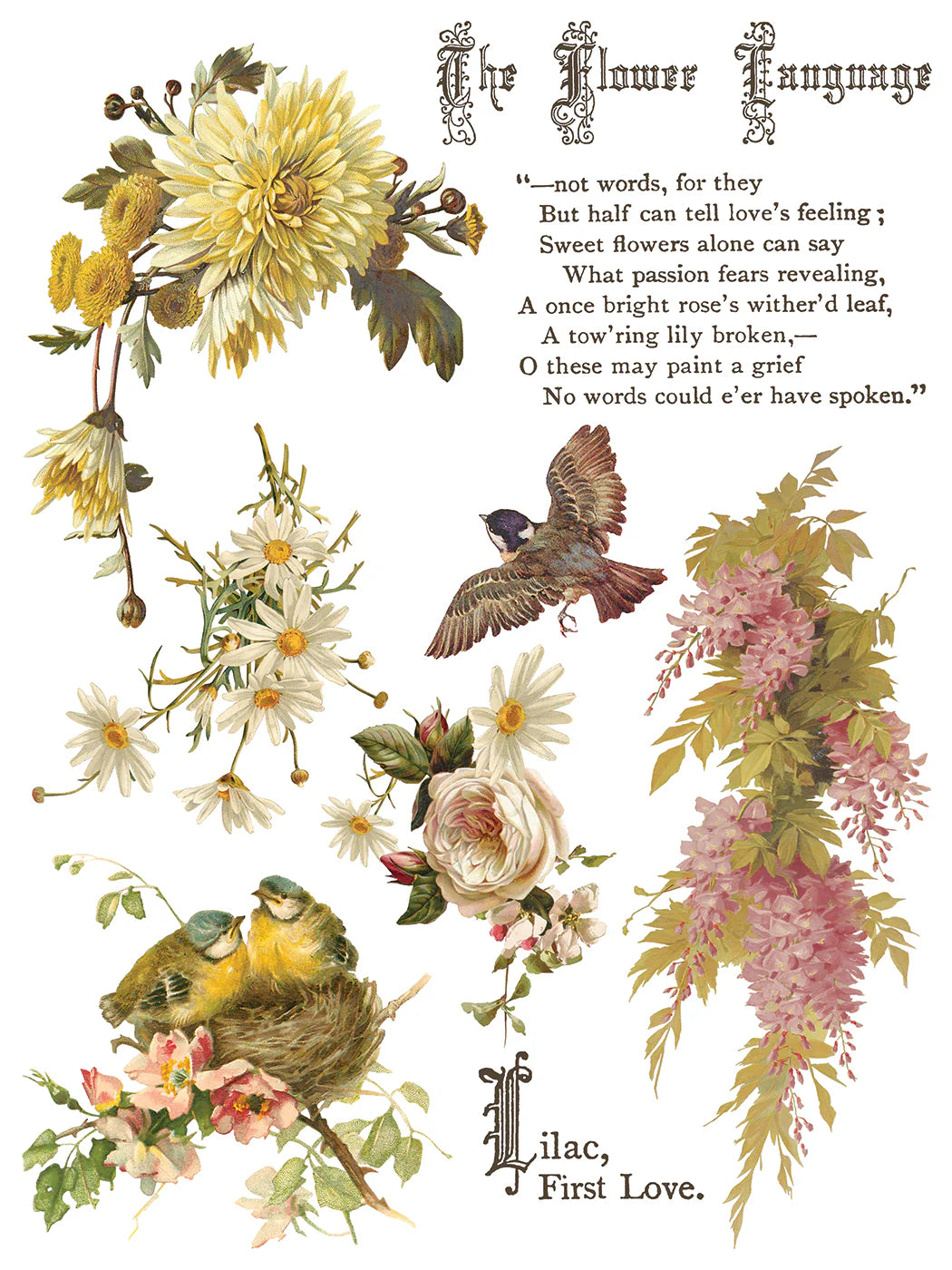 NEW! IOD Transfer Pad - FLOWERS BY THE POETS (set of eight 12"x16" sheets) - Rustic Farmhouse Charm