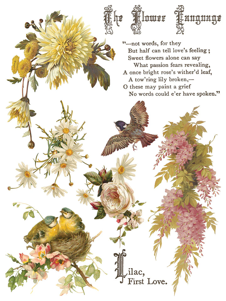 NEW! IOD Transfer Pad - FLOWERS BY THE POETS (set of eight 12"x16" sheets) - Rustic Farmhouse Charm