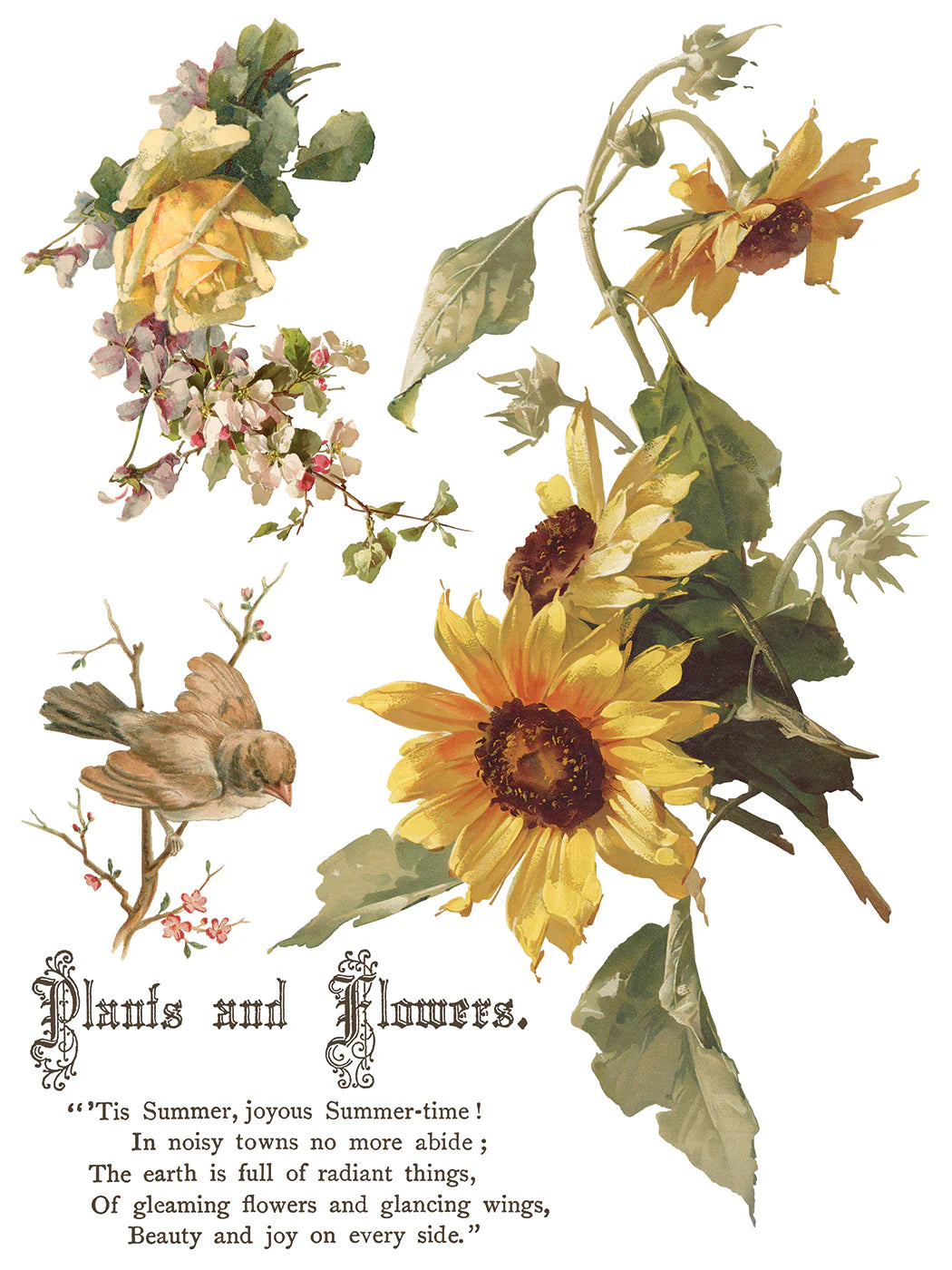 NEW! IOD Transfer Pad - FLOWERS BY THE POETS (set of eight 12"x16" sheets) - Rustic Farmhouse Charm