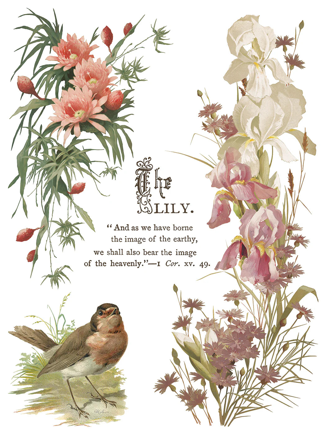 NEW! IOD Transfer Pad - FLOWERS BY THE POETS (set of eight 12"x16" sheets) - Rustic Farmhouse Charm