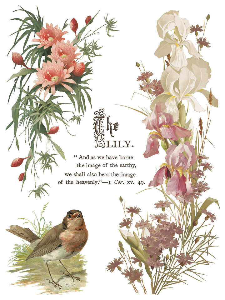 NEW! IOD Transfer Pad - FLOWERS BY THE POETS (set of eight 12"x16" sheets) - Rustic Farmhouse Charm