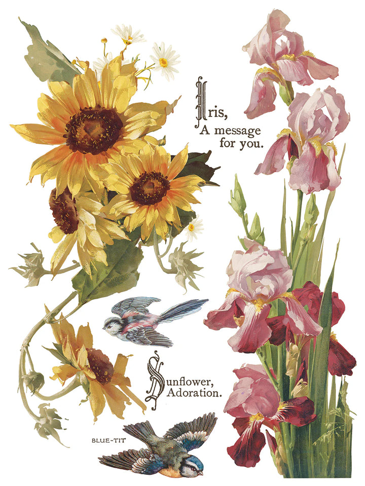 NEW! IOD Transfer Pad - FLOWERS BY THE POETS (set of eight 12"x16" sheets) - Rustic Farmhouse Charm