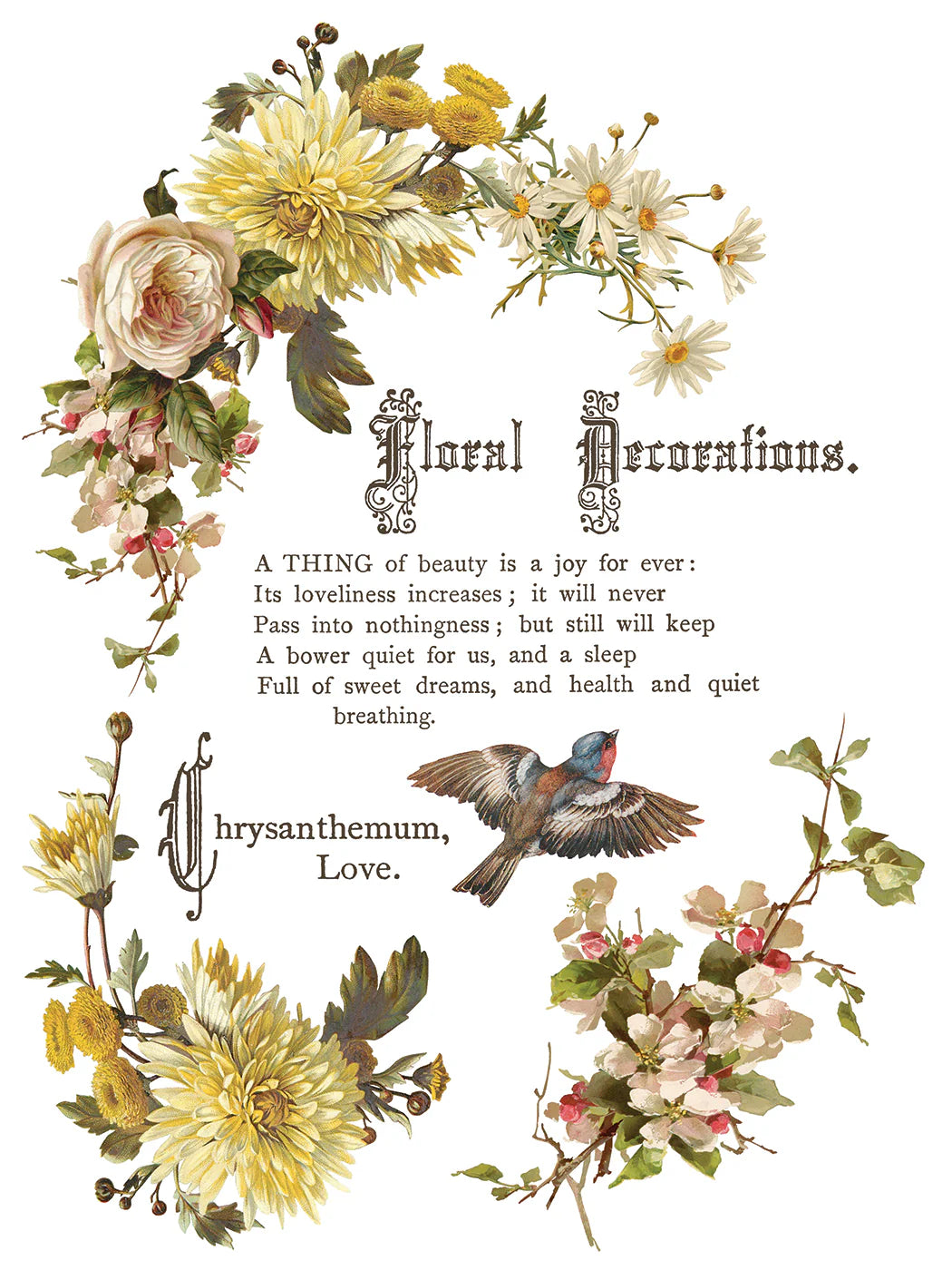 NEW! IOD Transfer Pad - FLOWERS BY THE POETS (set of eight 12"x16" sheets) - Rustic Farmhouse Charm