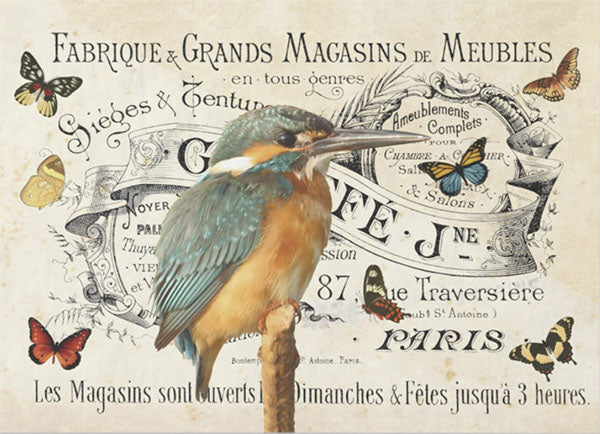 Decoupage Tissue Paper - French Kingfisher & Butterflies - Rustic Farmhouse Charm