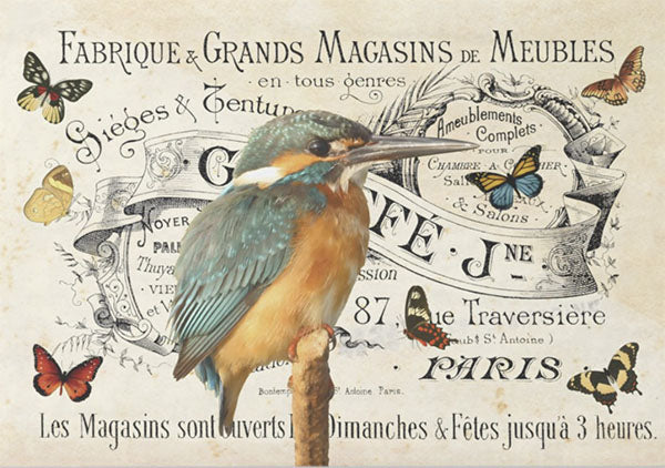 Decoupage Tissue Paper - French Kingfisher & Butterflies - Rustic Farmhouse Charm