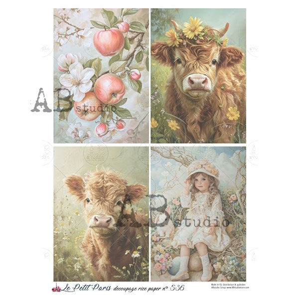 ABstudio Rice Paper - LE PETIT PARIS 536 (A4) - Rustic Farmhouse Charm