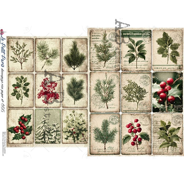 ABstudio Rice Paper - LE PETIT PARIS 806 (A4)