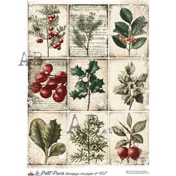 ABstudio Rice Paper - LE PETIT PARIS 807 (A4)