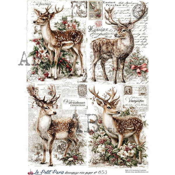 ABstudio Rice Paper - LE PETIT PARIS 853 (A4)