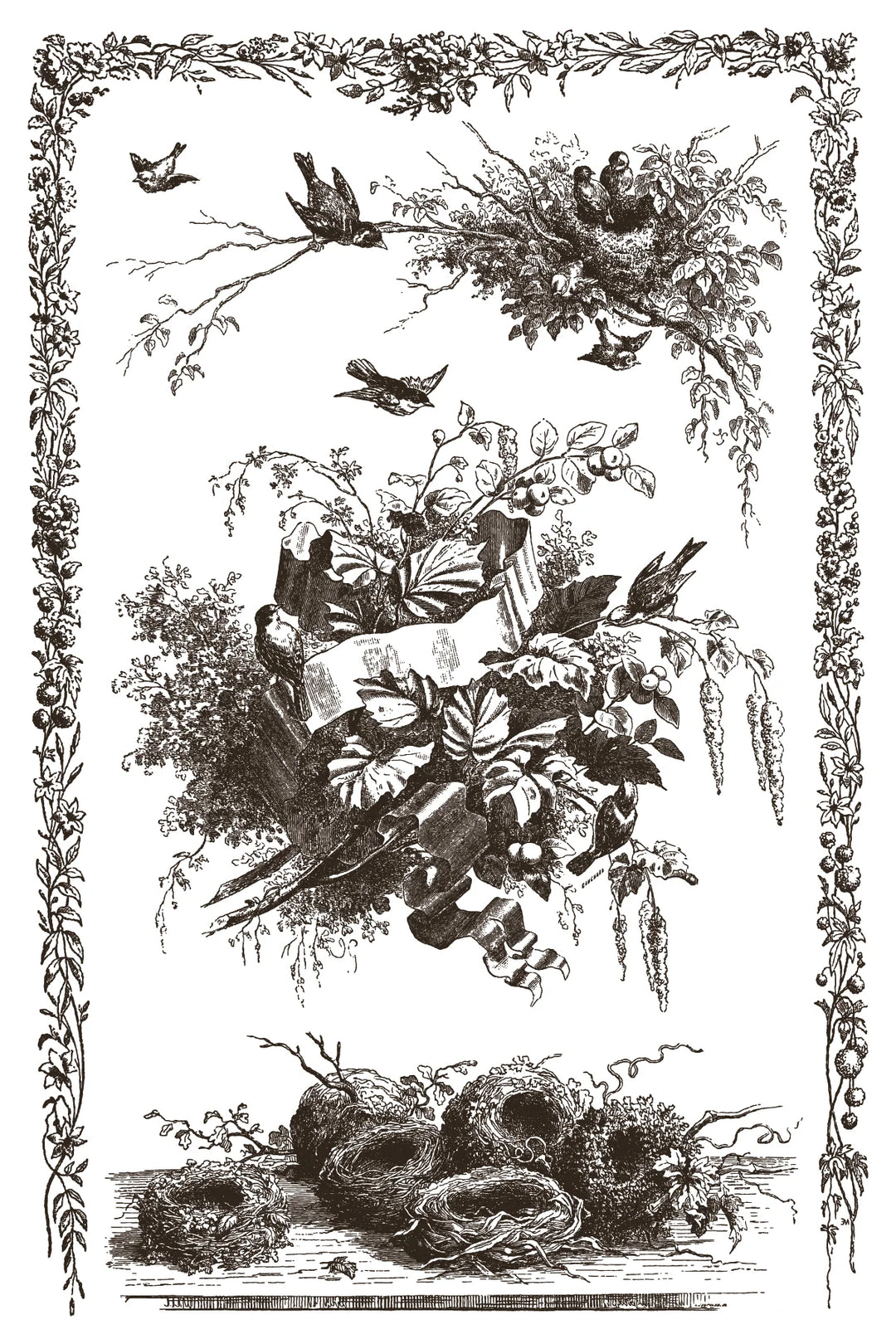 NEW! IOD Paint Inlay - LITTLE LARK (set of eight 8"x12" sheets) - Rustic Farmhouse Charm