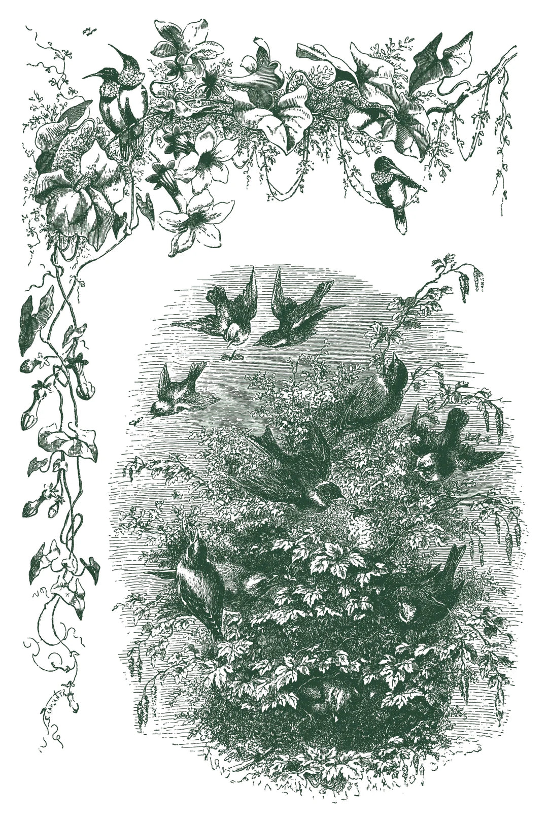 NEW! IOD Paint Inlay - LITTLE LARK (set of eight 8"x12" sheets) - Rustic Farmhouse Charm