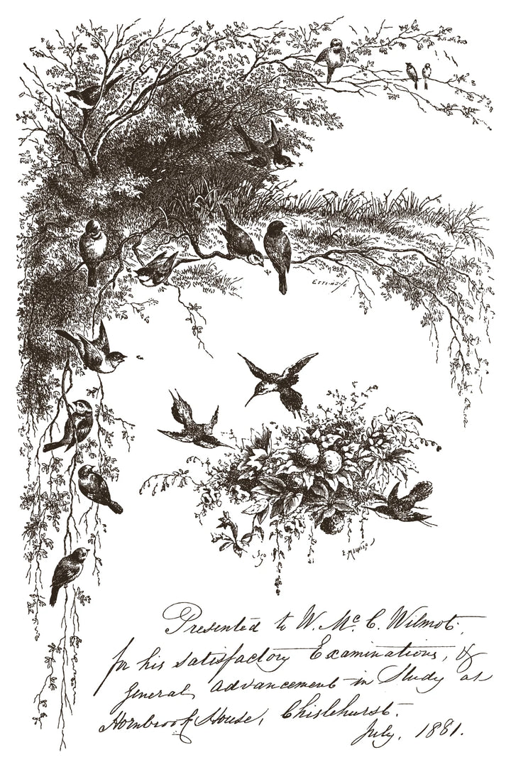 NEW! IOD Paint Inlay - LITTLE LARK (set of eight 8"x12" sheets) - Rustic Farmhouse Charm