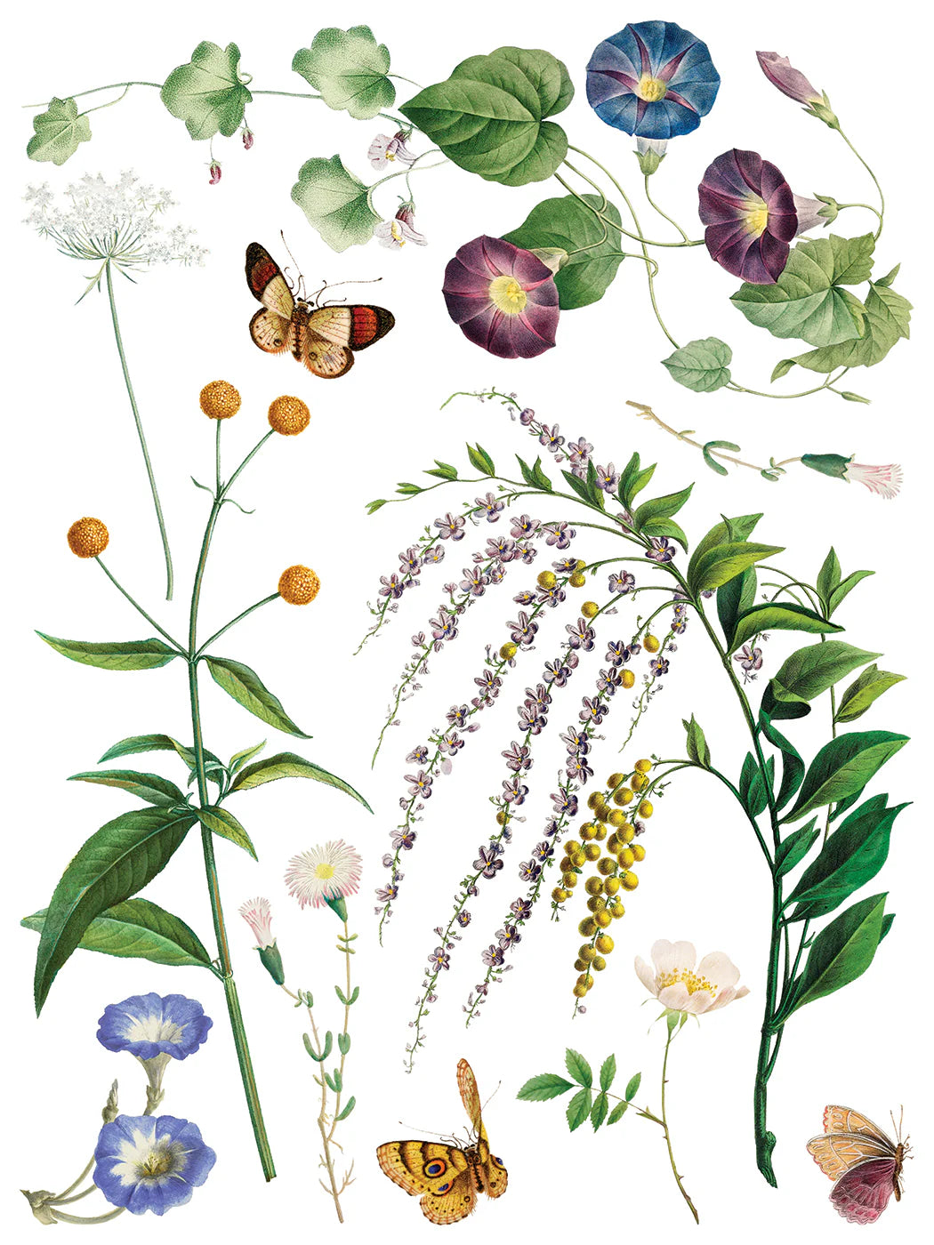 NEW! IOD Transfer Pad - MARCHE DES FLEURS (set of eight 12"x16" sheets) - Rustic Farmhouse Charm