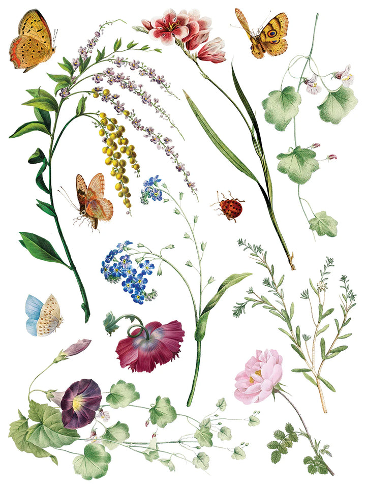NEW! IOD Transfer Pad - MARCHE DES FLEURS (set of eight 12"x16" sheets) - Rustic Farmhouse Charm