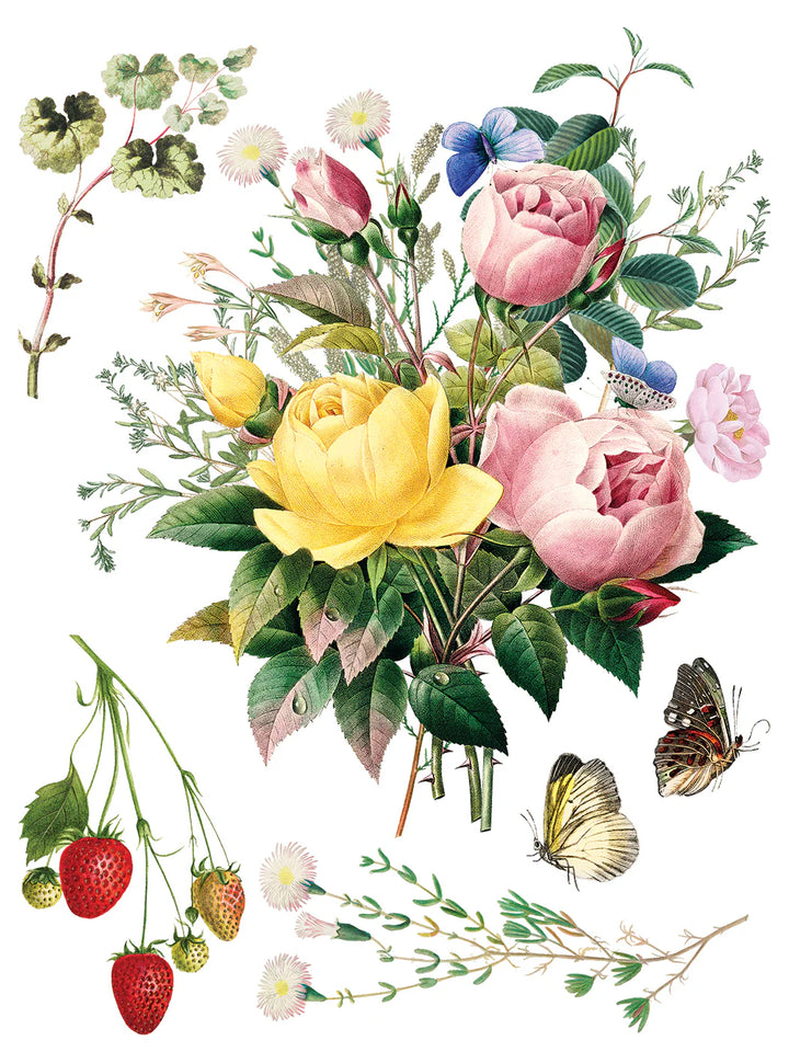 NEW! IOD Transfer Pad - MARCHE DES FLEURS (set of eight 12"x16" sheets) - Rustic Farmhouse Charm