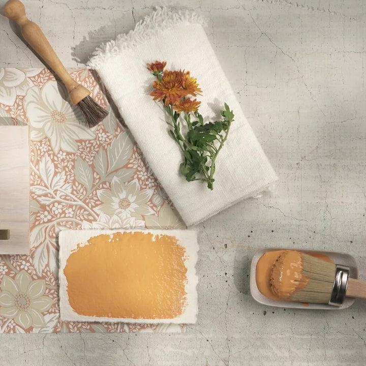 Alchemy by Fusion™ - MARIGOLD