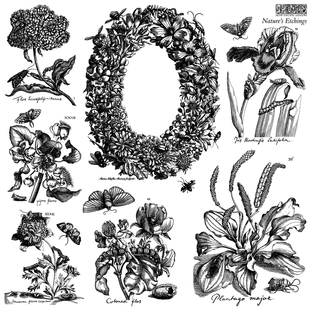 NEW! IOD Stamp Set - NATURE'S ETCHINGS (12"x12", 30.48cm x 30.48cm) - Rustic Farmhouse Charm