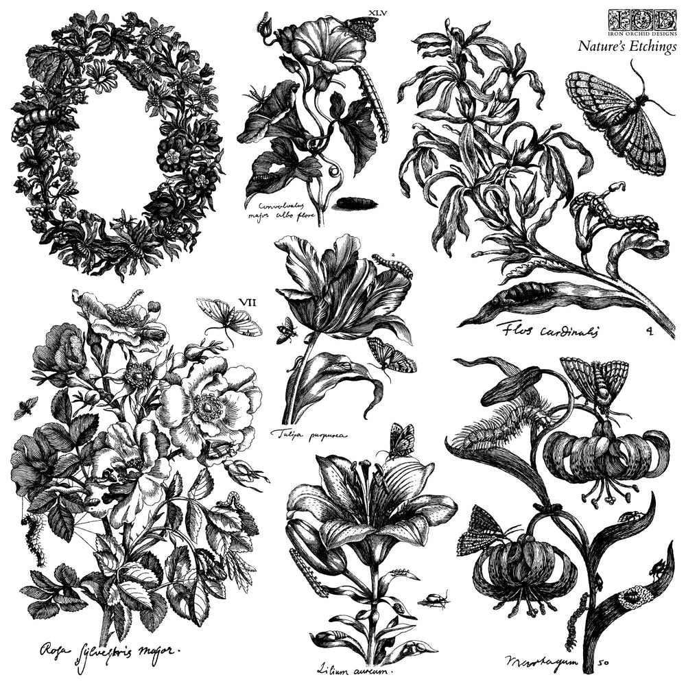 NEW! IOD Stamp Set - NATURE'S ETCHINGS (12"x12", 30.48cm x 30.48cm) - Rustic Farmhouse Charm