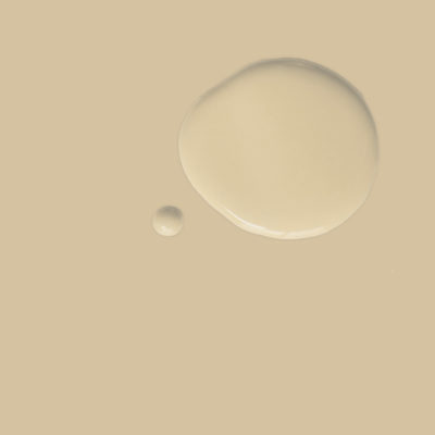 Annie Sloan Chalk Paint® - OLD OCHRE