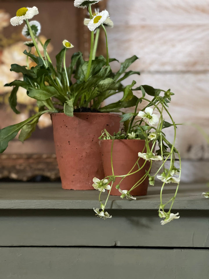 Annie Sloan Chalk Paint® - OLIVE