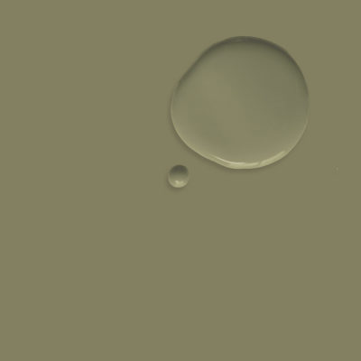Annie Sloan Chalk Paint® - OLIVE