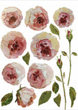 PAINTERLY FLORALS Transfer Pad by IOD (set of eight 12"x16" sheets) - Rustic Farmhouse Charm