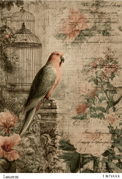LaBlanche Rice Paper - PARROT 1 (24cm x 33.5cm)