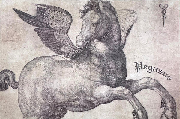 Decoupage Tissue Paper - Pegasus (50.8cm x 76.2cm)