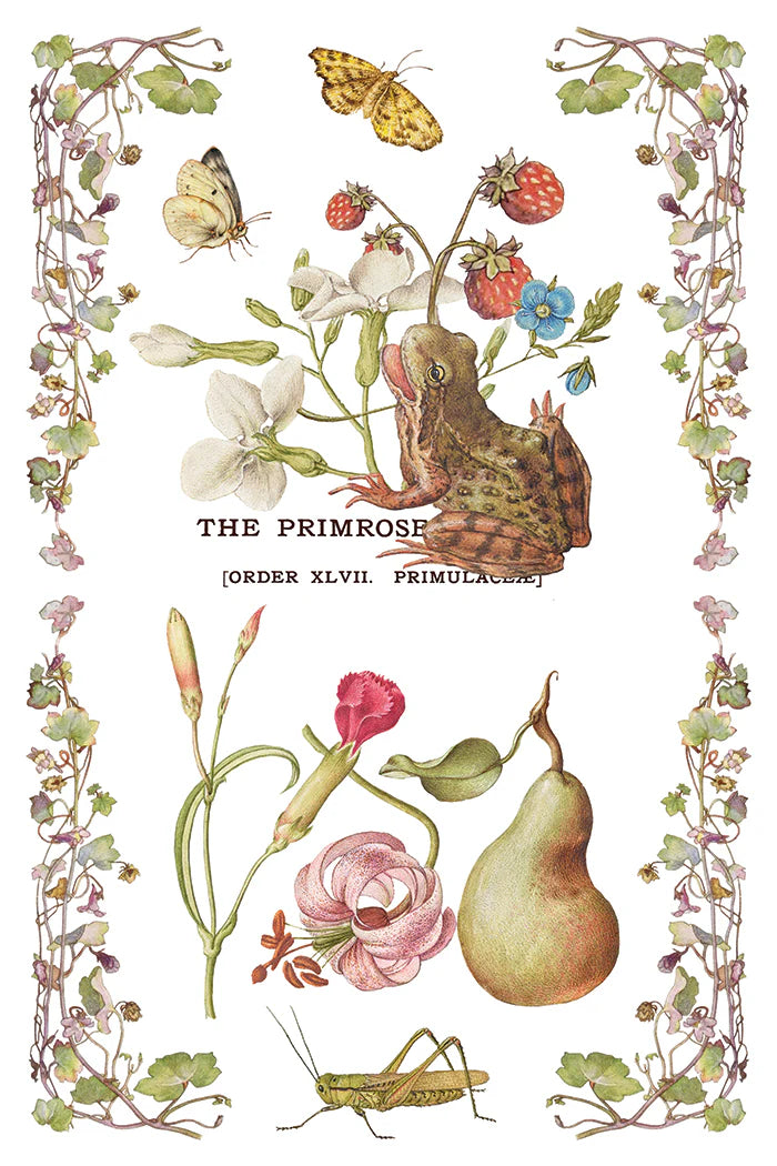 NEW! IOD Transfer Pad - PRIMROSE ISLE (set of eight 8"x12" sheets) - Rustic Farmhouse Charm