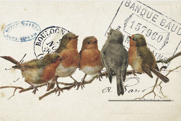 Decoupage Tissue Paper - Row of Sweet Robins (50.8cm x 76.2cm)