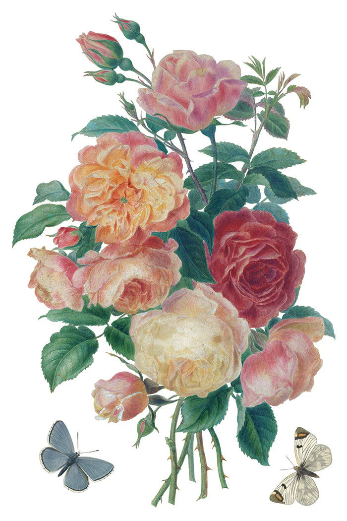 NEW! IOD Transfer Pad - SAINT OUEN (set of eight 8"x12" sheets) - Rustic Farmhouse Charm