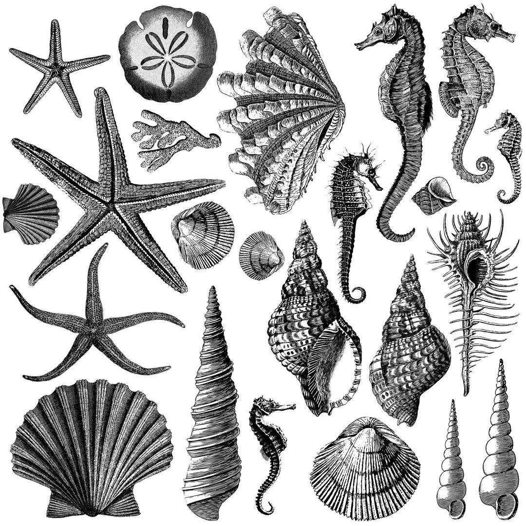 IOD Stamp Set - SEASHORE (12"x12", 30.48cm x 30.48cm) (Copy)