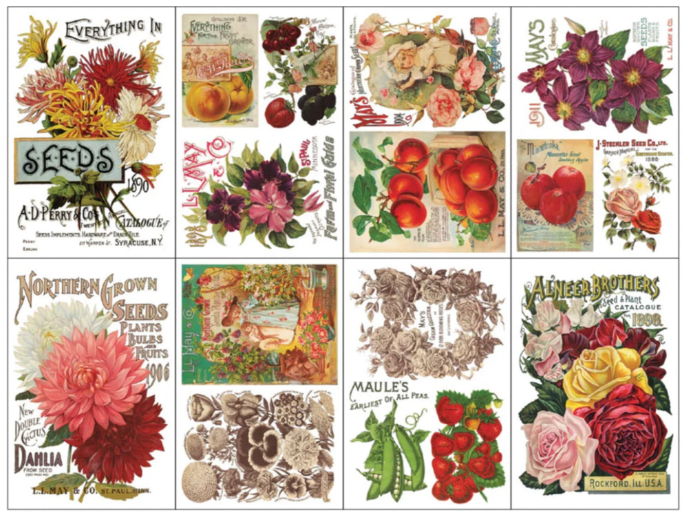 SEED CATALOGUE Transfer Pad by IOD (set of eight 8"x12" sheets) - Rustic Farmhouse Charm