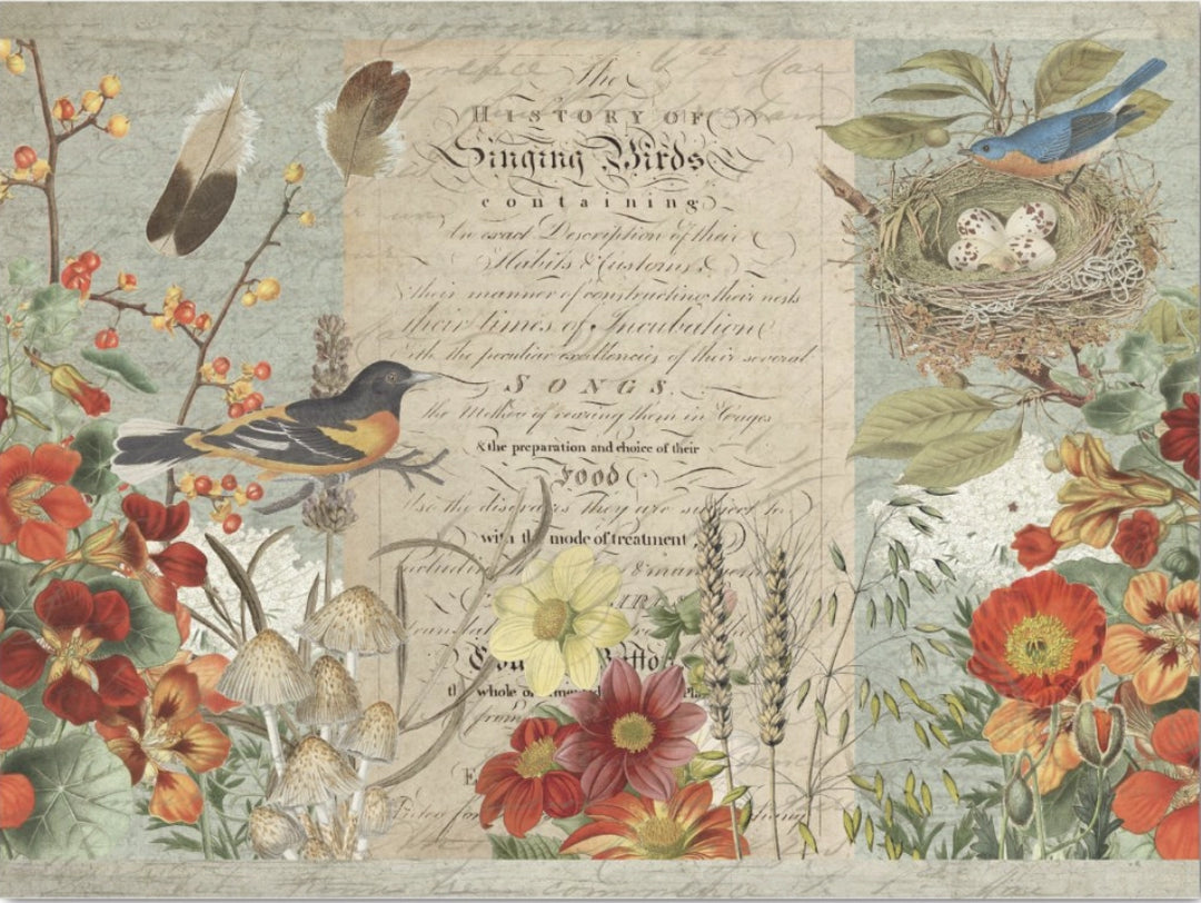 Decoupage Tissue Paper - Singing Birds (38.1cm x 50.8cm) - Rustic Farmhouse Charm