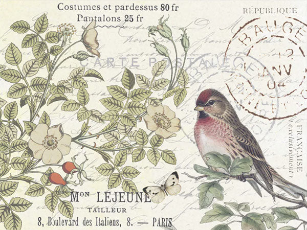 Decoupage Tissue Paper - Songbird in Garden (38.1cm x 50.8cm)