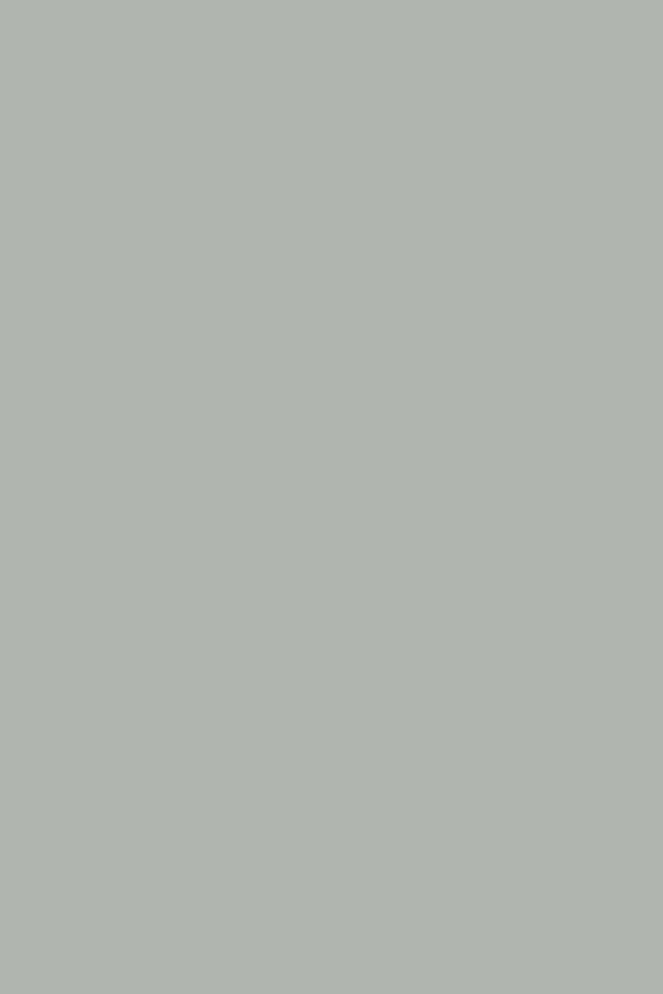 Alchemy by Fusion™ - SPRUCE