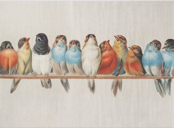 Decoupage Tissue Paper - The Bird Assembly - Rustic Farmhouse Charm