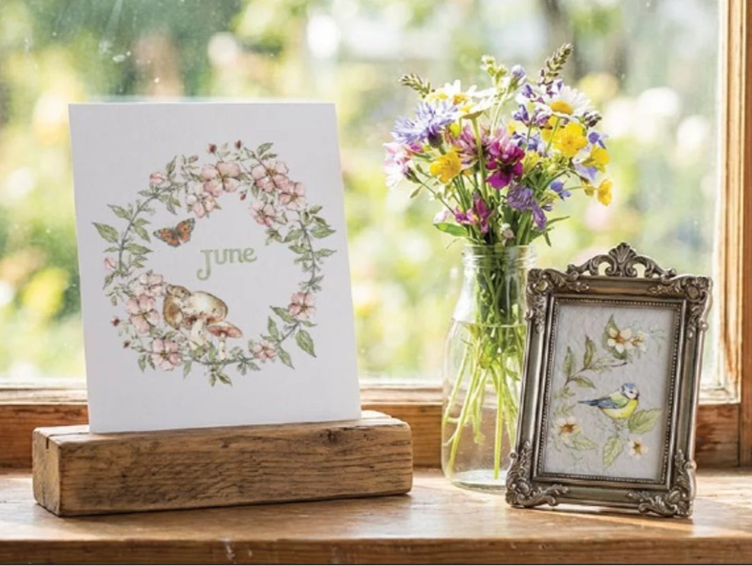 NEW! IOD Transfer Pad - THE BRAMBLEWOOD DIARIES (set of eight 8"x12" sheets)