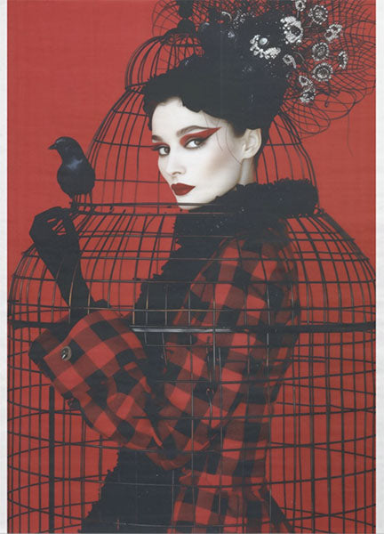 Decoupage Tissue Paper - The Crimson Lady & Raven Cage (53.34cm x 73.66cm) - Rustic Farmhouse Charm