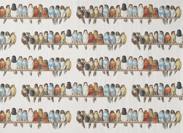 Decoupage Tissue Paper - The Feathered Chorus (53.34cm x 73.66cm)