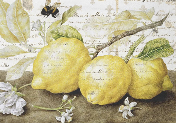 Decoupage Tissue Paper - The Lemon Harvest (35.56cm x 50.8cm)
