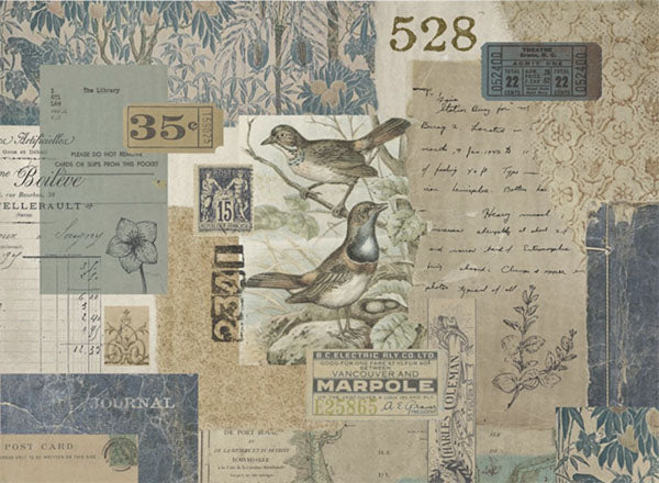Decoupage Tissue Paper - The Naturalist's Notebook (53.34cm x 73.66cm)