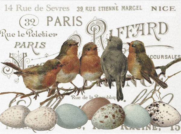 Decoupage Tissue Paper - Vintage Paris Birds & Eggs (43.18cm x 58.42cm) - Rustic Farmhouse Charm