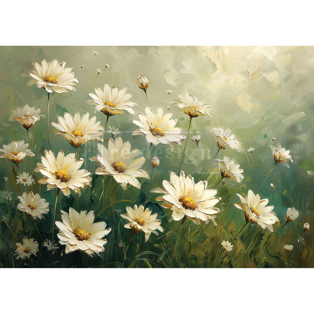LIMITED! Redesign A3 Decoupage Fibre Paper - WHISPERING DAISIES (29.7cm x 41.9cm) - Rustic Farmhouse Charm