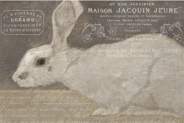 Decoupage Tissue Paper - White Rabbit with French Script (50.8cm x 76.2cm) - Rustic Farmhouse Charm
